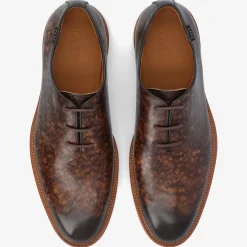 TAFT Taft 365|Taft 365 Shoes>Model 101 Shoe In Espresso