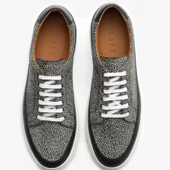 TAFT Sneakers>The Fifth Ave Sneaker In Stone Pebbled Leather |