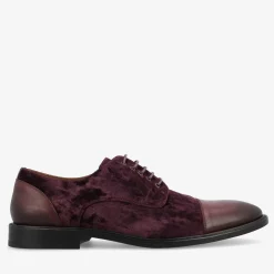 TAFT Shoes>The Jack Shoe In Pinot |